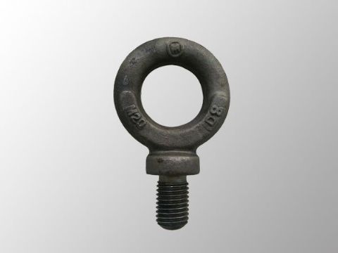 點(diǎn)擊查看詳細(xì)信息<br>標(biāo)題：Eye Bolt 閱讀次數(shù)：1219